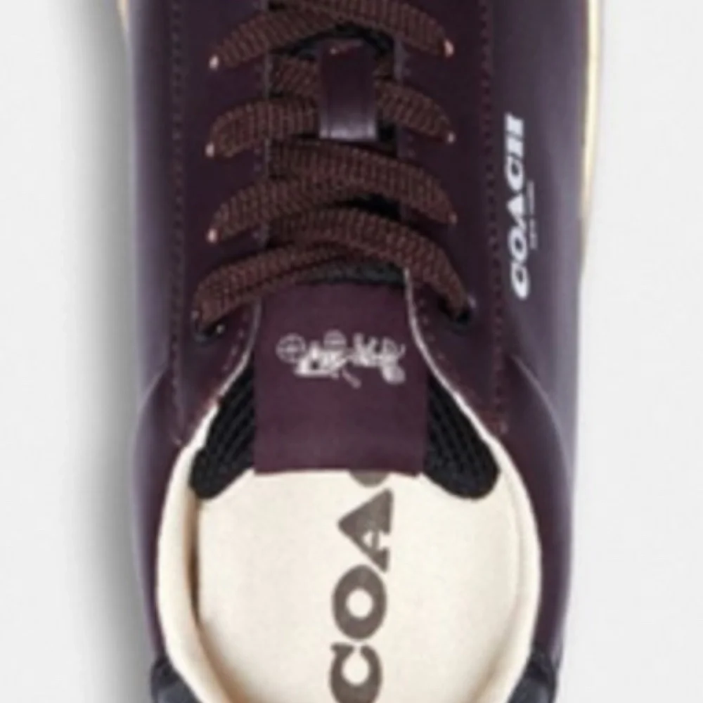 COACH CLIP LOW TOP NWT - Picture 4 of 6